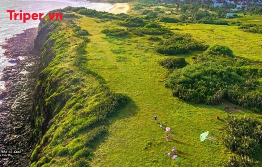 Tour Hồ Chí Minh- Phú Yên – Quy Nhơn – Hồ Chí Minh 5 ngày 4 đêm