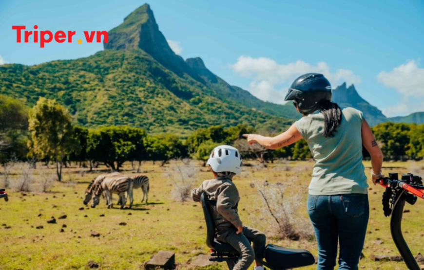 Tour Mauritius – Madagascar 10N9Đ: Trải nghiệm thiên nhiên hoang sơ