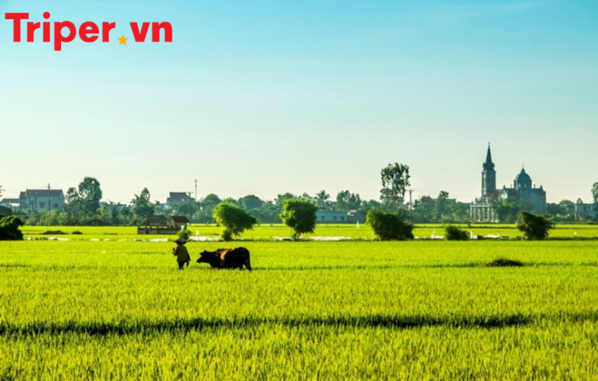 Tour Miền Tây 4 Ngày 3 Đêm (mk4)