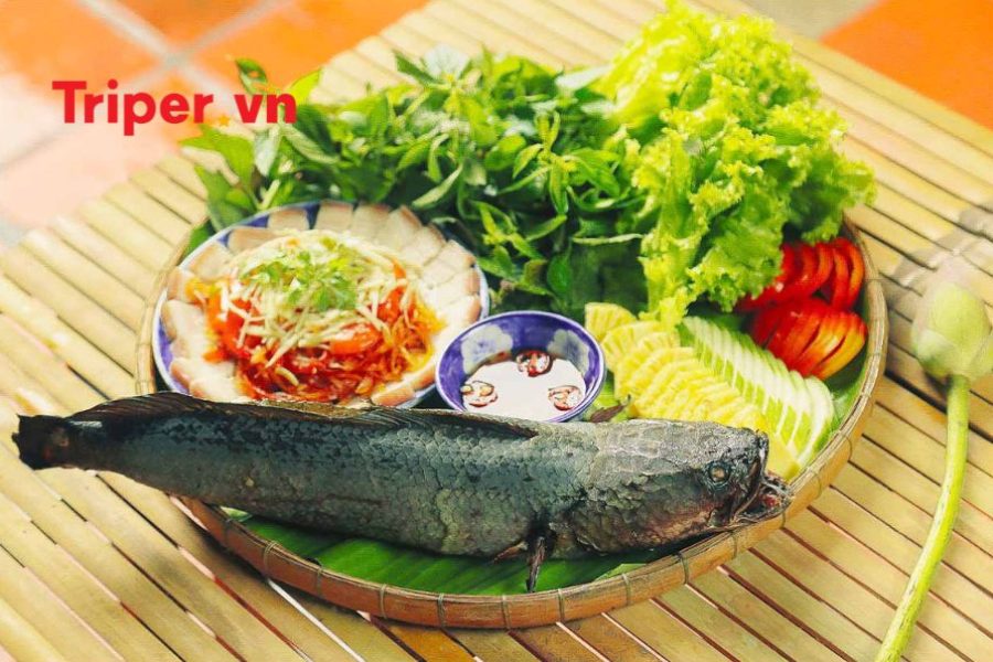 Tour Mỹ Tho | Cần Thơ | Chợ Nổi Cái Răng | Khu Du Lịch Mỹ Khánh