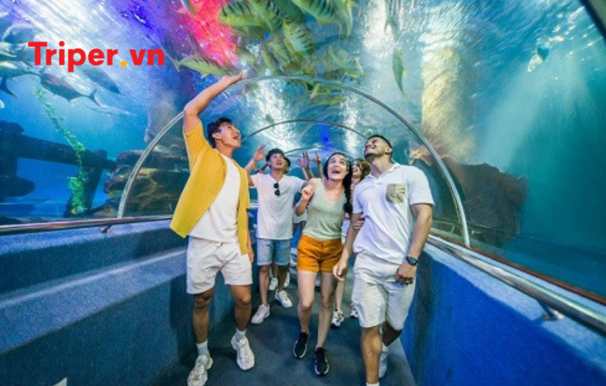 Tour Nha Trang | KDL Con Sẻ Tre | Tiệc Bar Nổi | Vinwonders 4 ngày 3 đêm