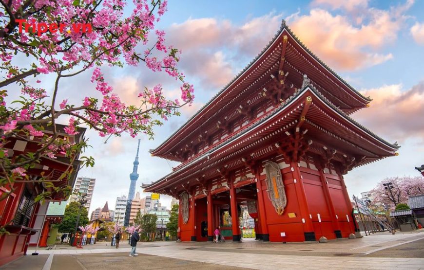 Tour Nhật Bản 6N5Đ: Tokyo | Phú Sĩ | Nagoya | Kyoto | Kansai