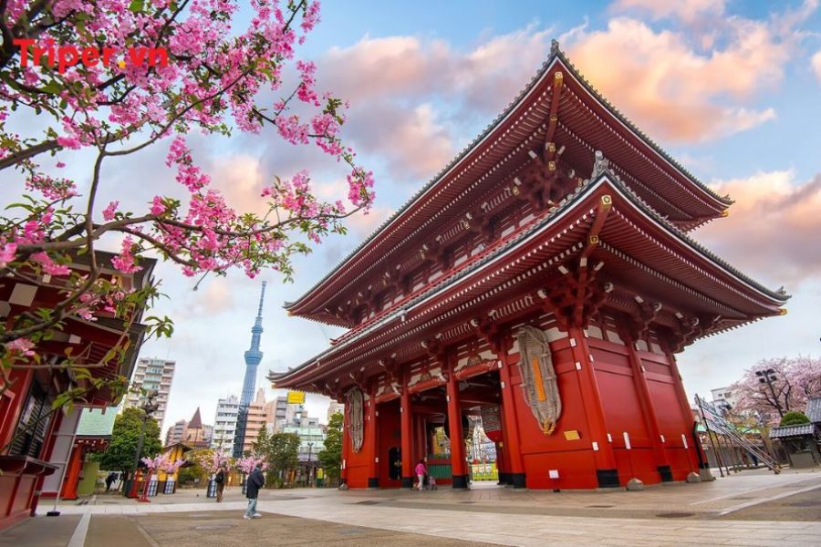 Tour Nhật Bản 6N5Đ Tokyo Phú Sĩ Nagoya Kyoto Kansai