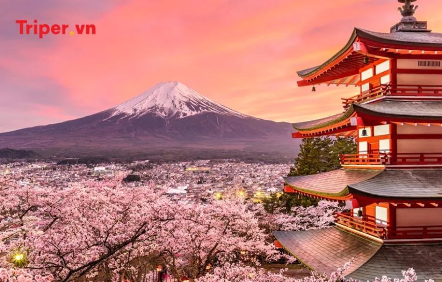 Tour Nhật Bản 6N5Đ: Tokyo | Phú Sĩ | Nagoya | Kyoto | Kansai