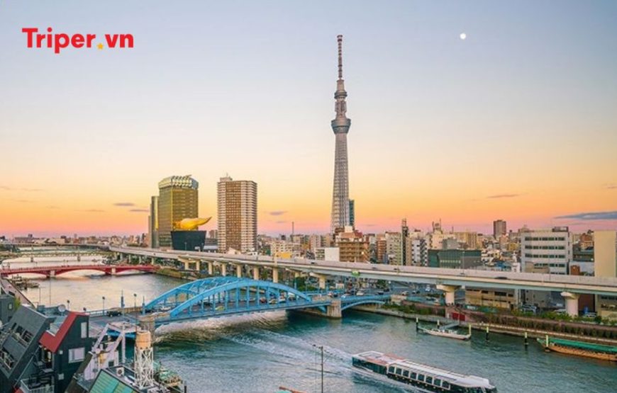 Tour Nhật Bản 6N5Đ: Tokyo | Phú Sĩ | Nagoya | Kyoto | Kansai
