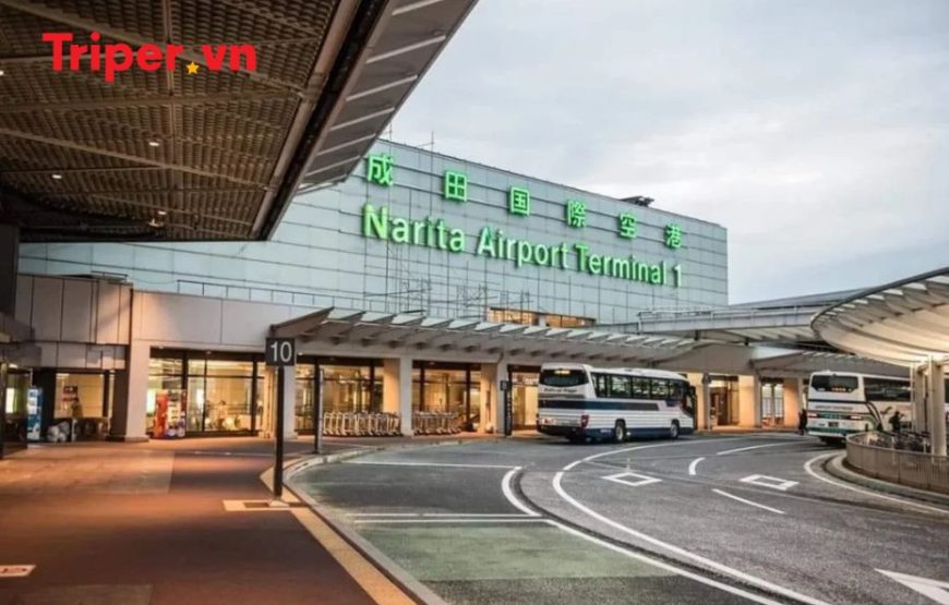 Tour Nhật Bản: Kobe | Osaka | Kyoto | Yamanashi | Tokyo 6 ngày 5 đêm