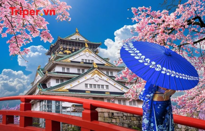 Tour Nhật Bản: Kobe | Osaka | Kyoto | Yamanashi | Tokyo 6 ngày 5 đêm
