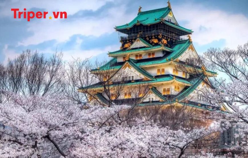 Tour Nhật Bản: Kobe | Osaka | Kyoto | Yamanashi | Tokyo 6 ngày 5 đêm