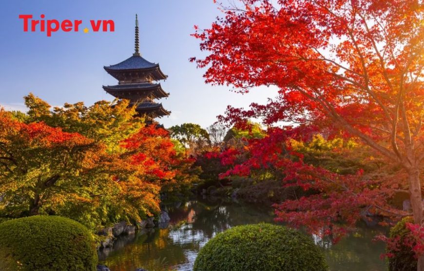 Tour Nhật Bản: Kobe | Osaka | Kyoto | Yamanashi | Tokyo 6 ngày 5 đêm