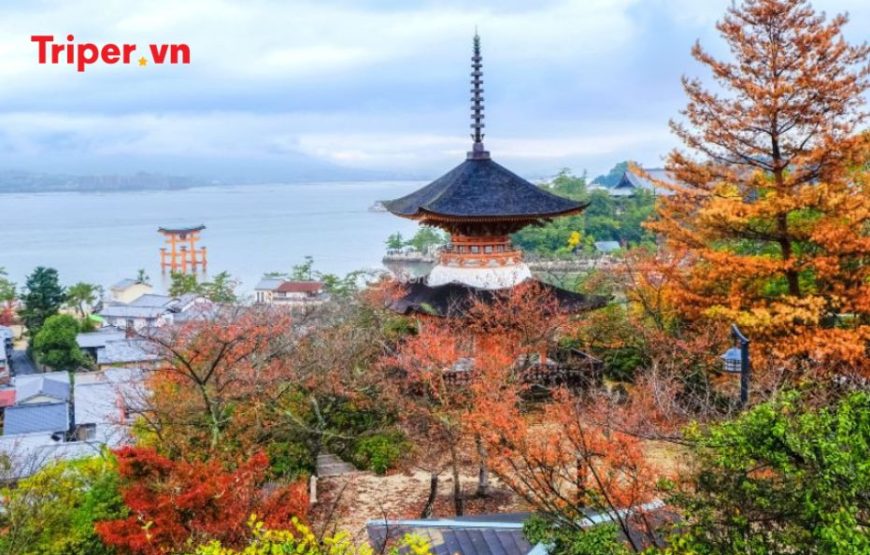 Tour Nhật Bản Mùa Thu (Lá Đỏ) | Izumo | Hiroshima | Đảo Miyajima 6 Ngày 5 đêm