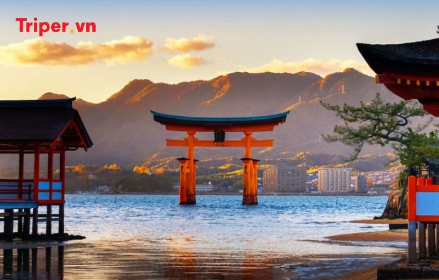 Tour Nhật Bản Mùa Thu (Lá Đỏ) | Izumo | Hiroshima | Đảo Miyajima 6 Ngày 5 đêm