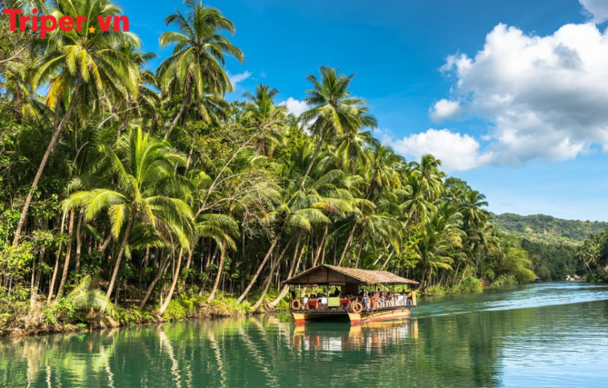Tour Philippines: Cebu | Bohol | Lặn Ngắm Cá Mập Voi Oslob | Bơi Cùng Đàn Cá Mòi Moalboal 4 ngày 3 đêm