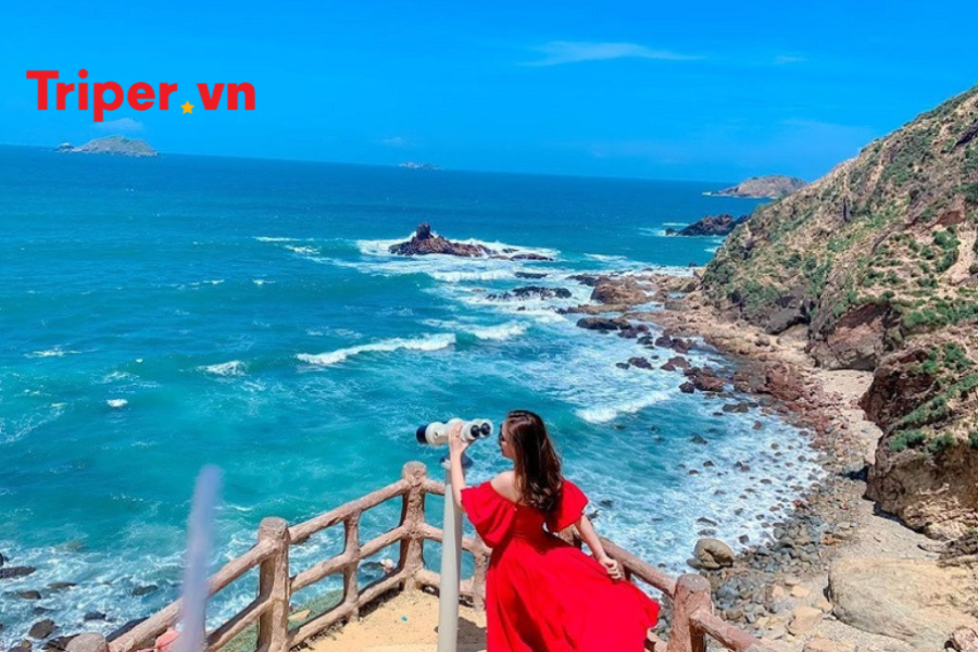 Tour Quy Nhơn - Phú Yên Kỳ Co Eo Gió Gành Đá Đĩa Tháp Nghinh Phong