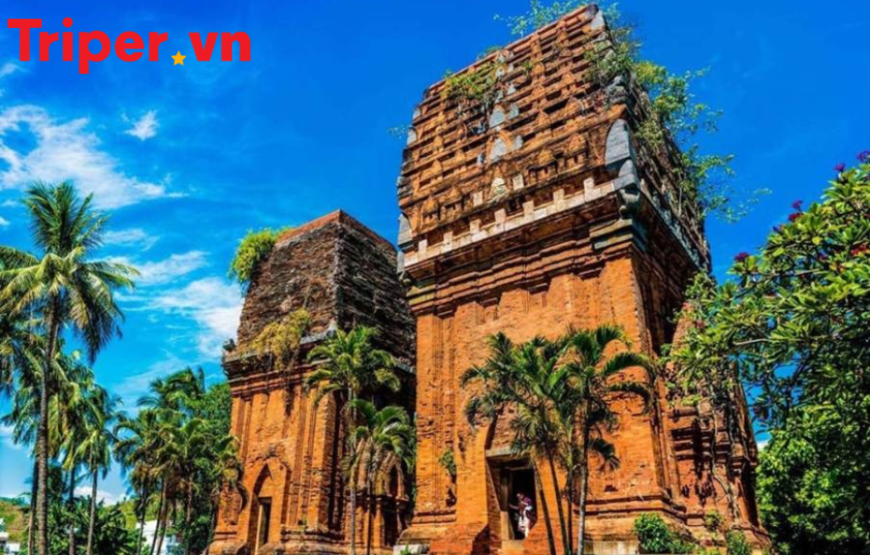 Tour Quy Nhơn – Phú Yên 6 Ngày 5 Đêm: Hành trình Về Xứ Nẫu