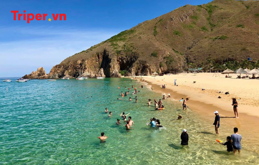 Tour Quy Nhơn – Phú Yên: Kỳ Co | Eo Gió | Gành Đá Đĩa | Tháp Nghinh Phong – Bay Vietjet Air