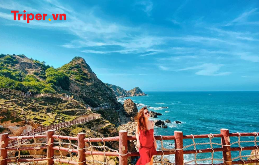 Tour Quy Nhơn – Phú Yên: Kỳ Co | Eo Gió | Gành Đá Đĩa | Tháp Nghinh Phong – Bay Vietjet Air