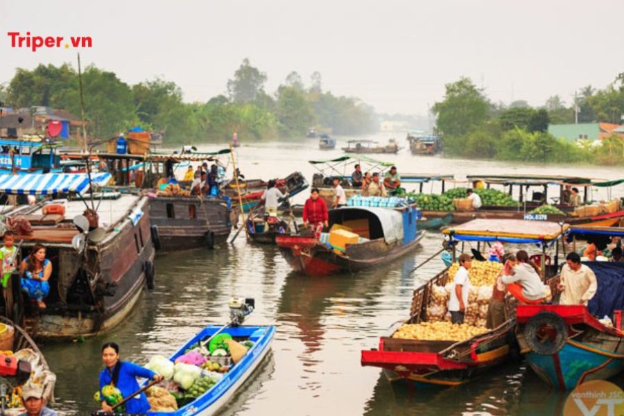Tour SG-Miền Tây 3 ngày 2 đêm (2)