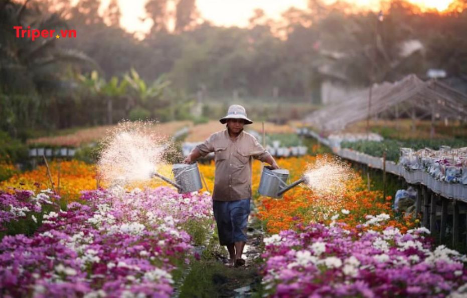 Ngày 1: Tour Sài Gòn (Tphcm) - Đồng Tháp - Châu Đốc (An Giang)