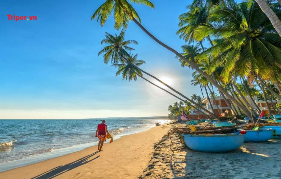 Ngày 1: TP HỒ CHÍ MINH - TÀ KÓU – TRƯỜNG DỤC THANH – MŨI NÉ – TEAMBUILDING – LỬA TRẠI (ĂN SÁNG, TRƯA, TỐI) 