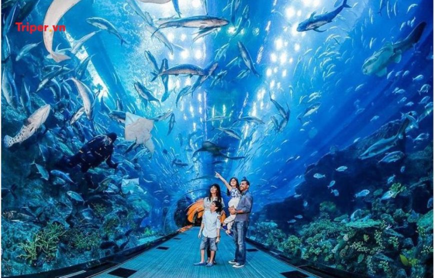 TOUR DU LỊCH 5 NGÀY 4 ĐÊM TỪ TP.HCM ĐI PHÚ QUỐC