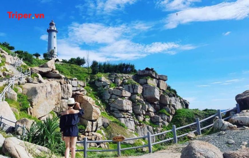 TOUR PHÚ YÊN 2 NGÀY 1 ĐÊM KẾT HỢP TEAMBUILDING