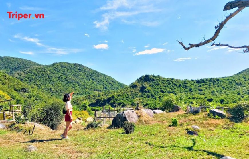 TOUR PHÚ YÊN 2 NGÀY 1 ĐÊM KẾT HỢP TEAMBUILDING