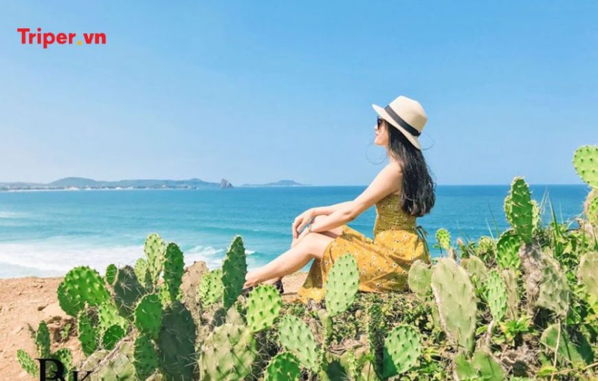 TOUR PHÚ YÊN 2 NGÀY 1 ĐÊM KẾT HỢP TEAMBUILDING