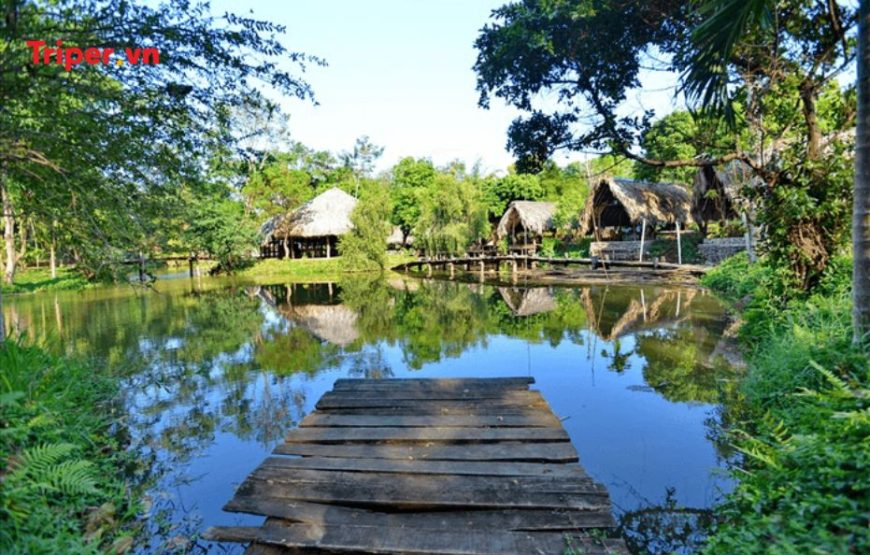 TOUR DU LỊCH TỪ TP. HỒ CHÍ MINH – TÀ ĐÙNG 3 NGÀY 2 ĐÊM