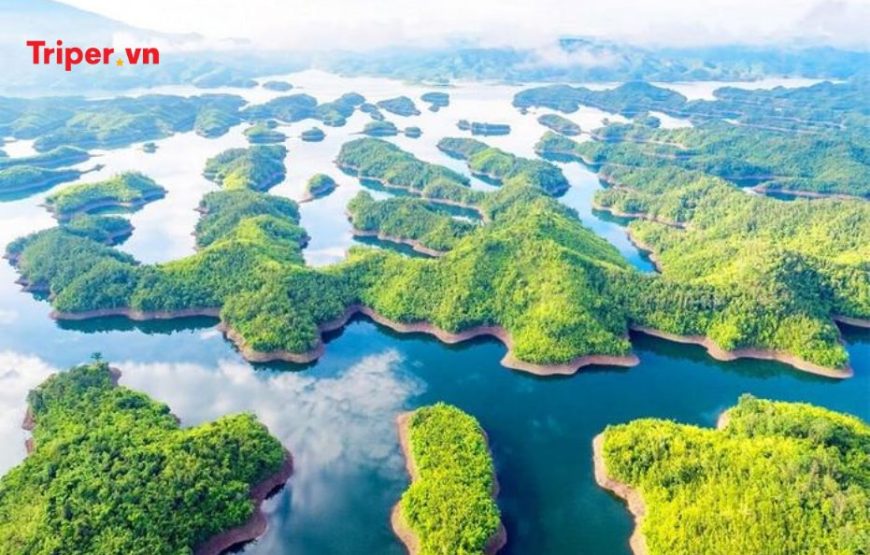 TOUR DU LỊCH TỪ TP. HỒ CHÍ MINH – TÀ ĐÙNG 3 NGÀY 2 ĐÊM