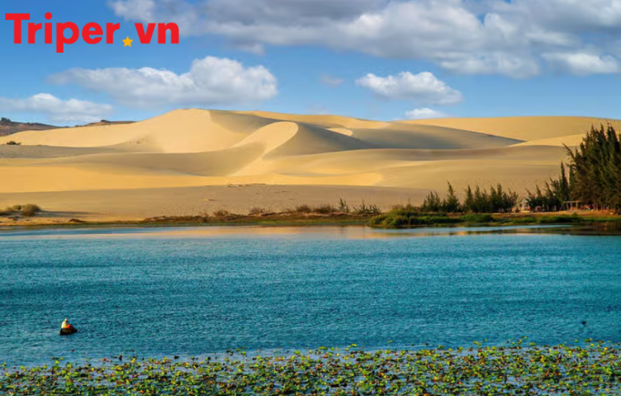 Tour Sài Gòn – Mũi Né – Đà Lạt – Nha Trang 6 Ngày 5 Đêm