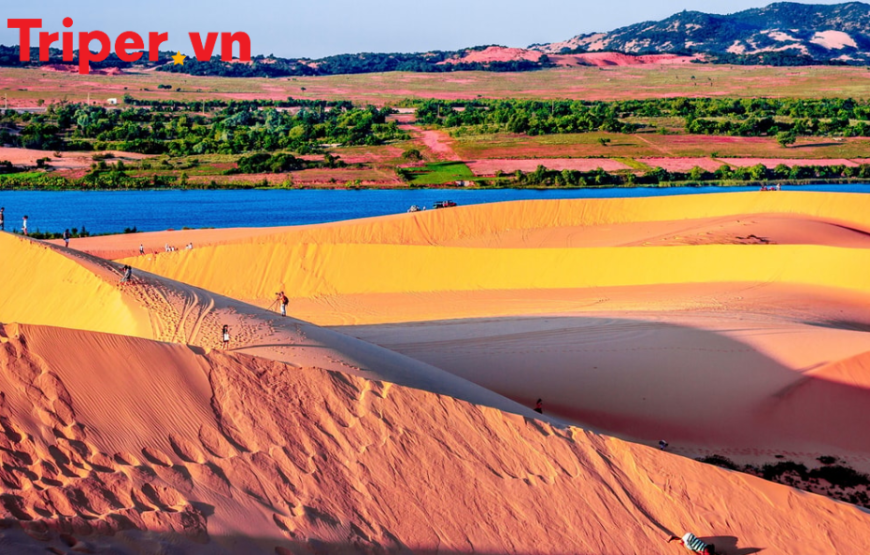 Tour Sài Gòn – Mũi Né – Đà Lạt – Nha Trang 6 Ngày 5 Đêm