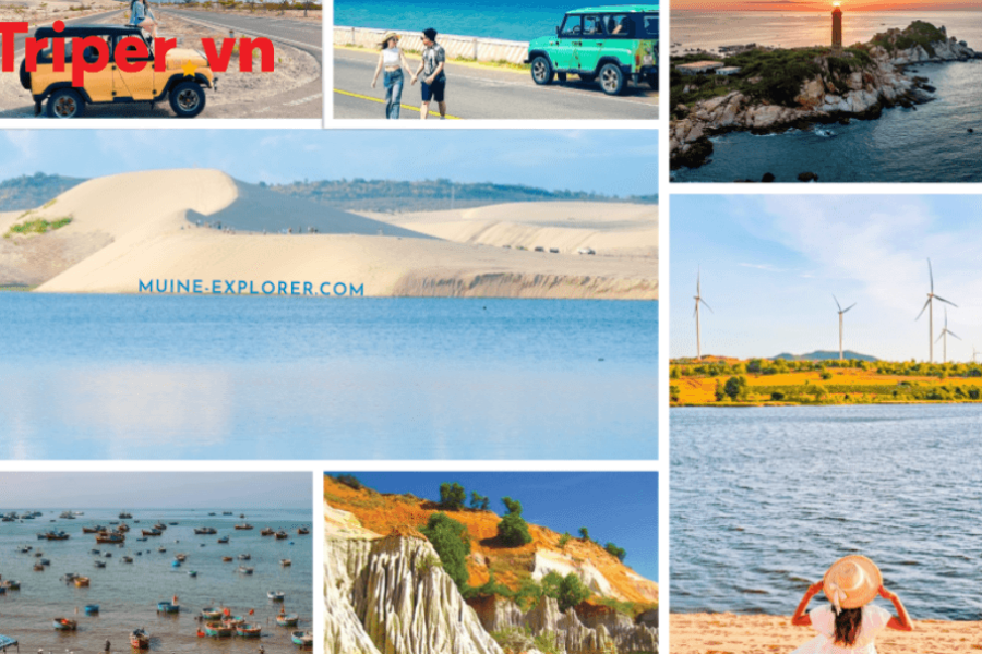 Tour Sài Gòn - Mũi Né - Đà Lạt - Nha Trang 6 Ngày 5 Đêm