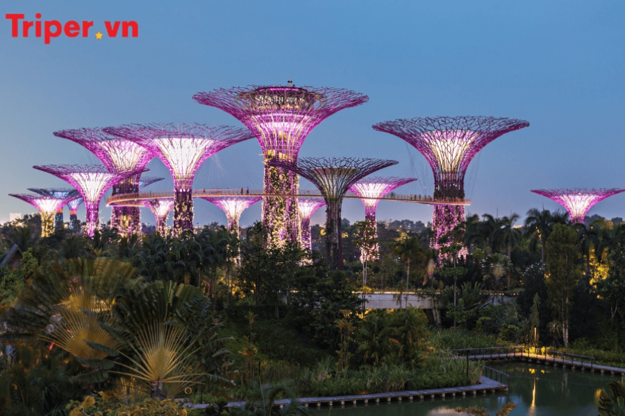 Tour Singapore Gardens By The Bay 5 Ngày 4 Đêm