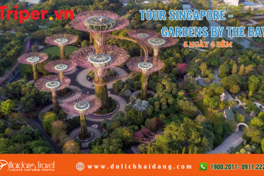 Tour Singapore Gardens By The Bay 5 ngày 4 đêm