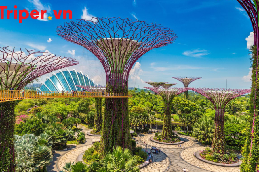 Tour Singapore Mono Tháng 7,8,9 3N2D
