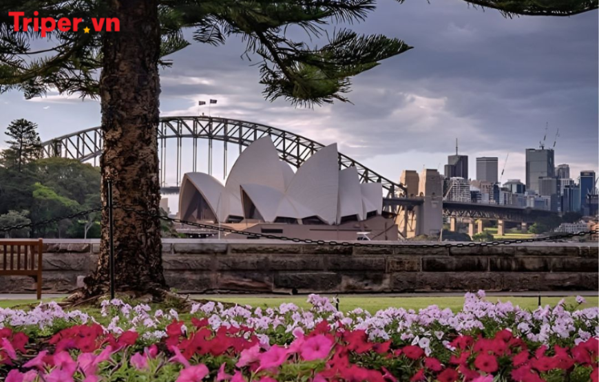 Tour Úc 5 Ngày 4 Đêm: Mono Sydney | Free Day | Bay Jetstar