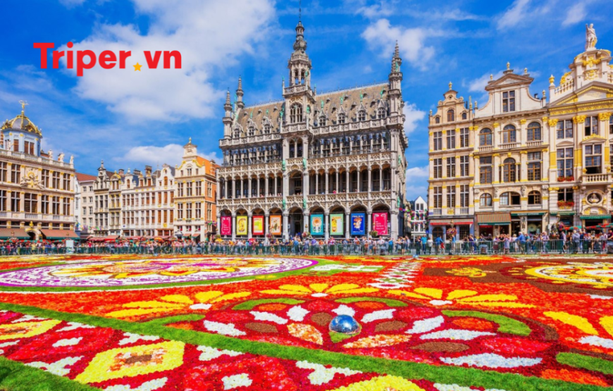 Tour du lịch Châu Âu | TP Hồ Chí Minh – Đức – Hà Lan – Bỉ – Luxembourg – Pháp 9 ngày 8 đêm 2025