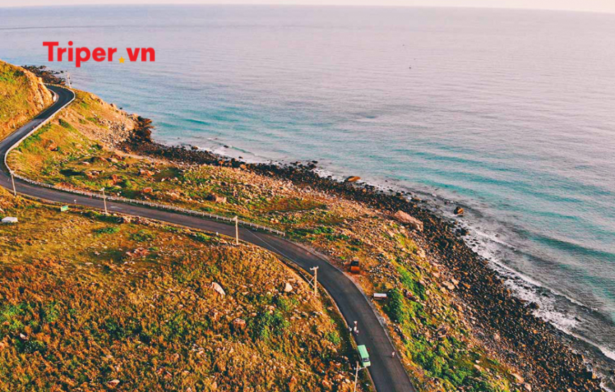 Tour du lịch Côn Đảo Khám phá thiên nhiên 4 ngày 3 đêm