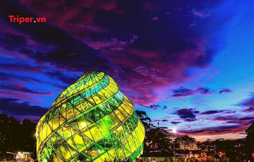 TOUR DU LỊCH SÀI GÒN (TP.HCM) – ĐÀ LẠT 2 NGÀY 1 ĐÊM