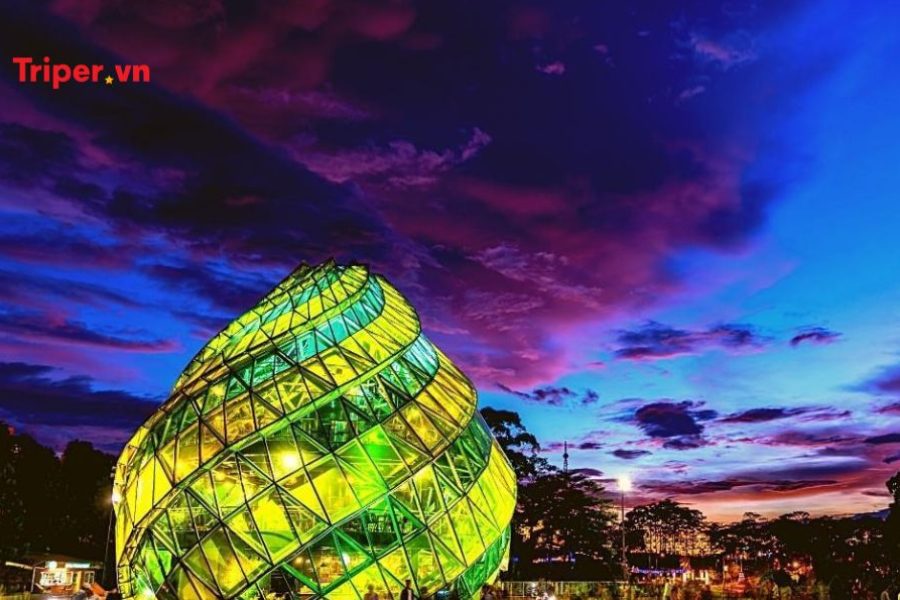 Tour du lịch Đà Lạt 2 ngày 1 đêm