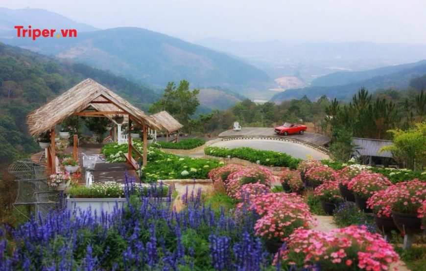 TOUR DU LỊCH SÀI GÒN (TP.HCM) – ĐÀ LẠT 2 NGÀY 1 ĐÊM