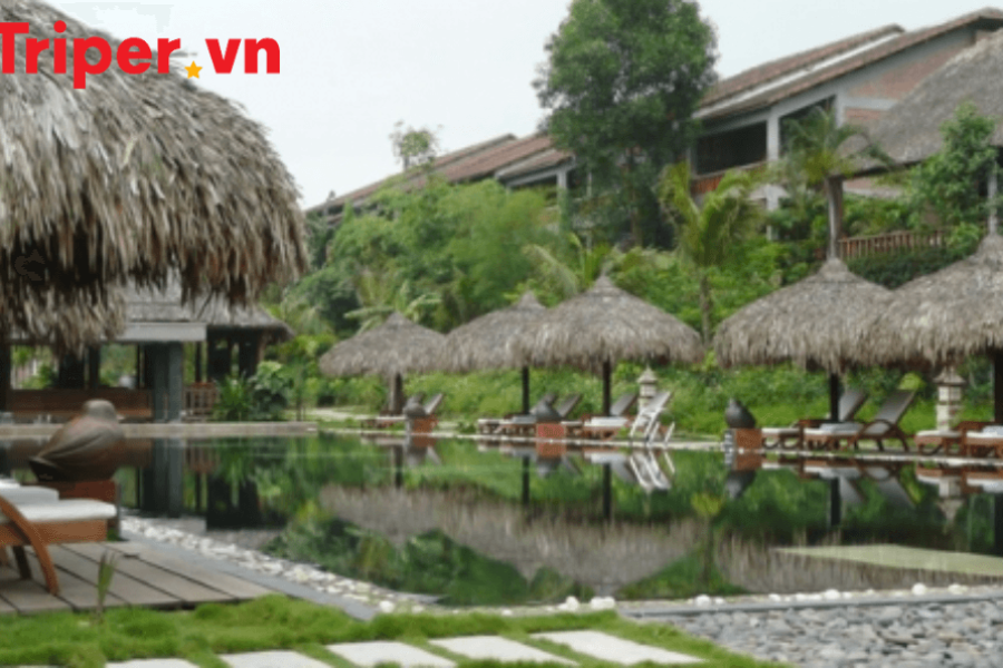 Tour du lịch Đà Nẵng 6 ngày 5 đêm