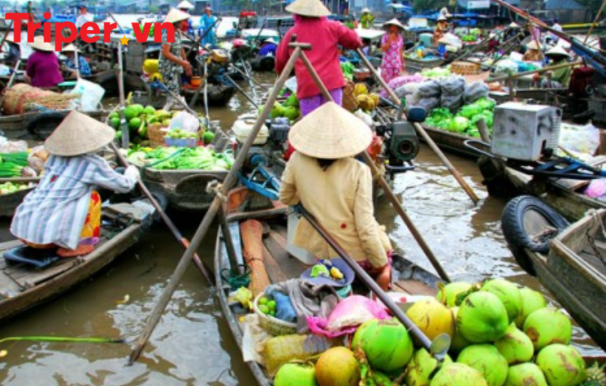 Tour du lịch Miền Tây Phú Quốc 4 Ngày 3 Đêm