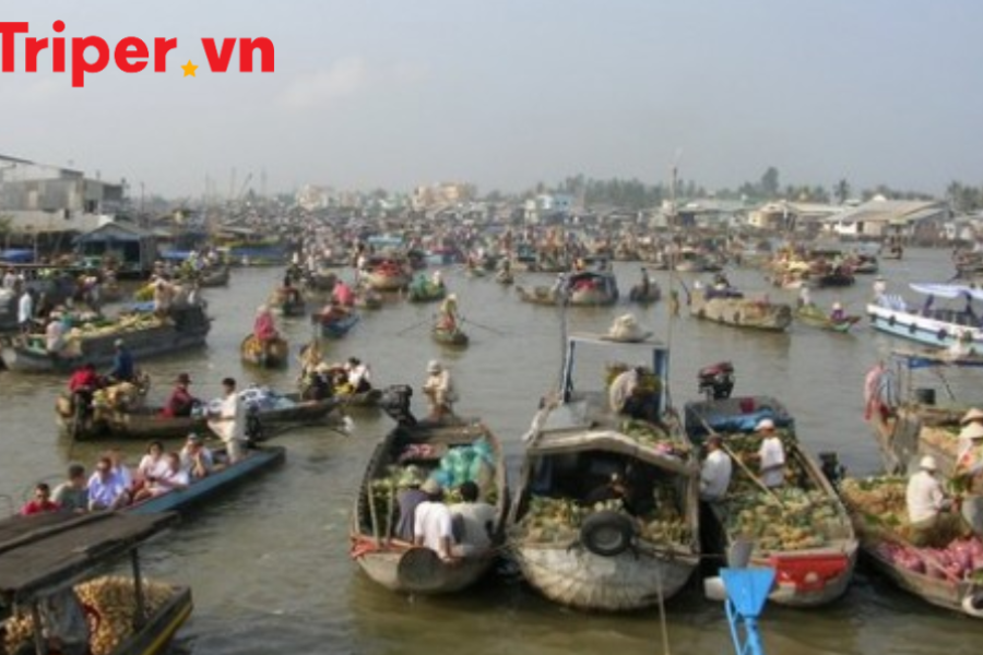 Tour du lịch Miền Tây Phú Quốc 4 Ngày 3 Đêm