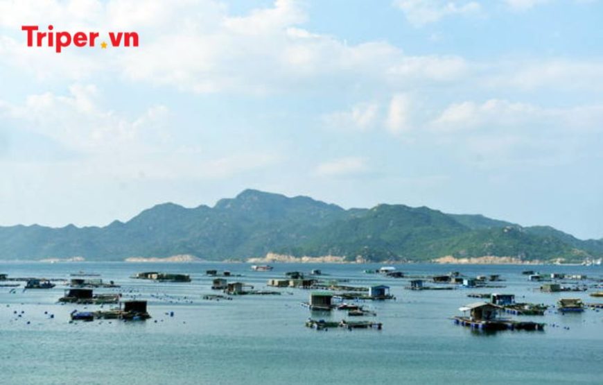 Tour du lịch TP Hồ Chí Minh – Đảo Bình Ba 3 ngày 2 đêm