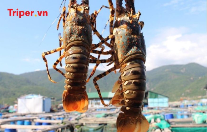 Tour du lịch TP Hồ Chí Minh – Đảo Bình Ba 3 ngày 2 đêm