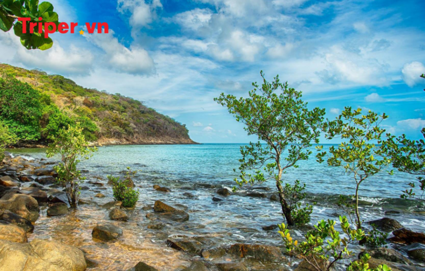 Tour du lịch TP Hồ Chí Minh – Côn Đảo 3 ngày 2 đêm