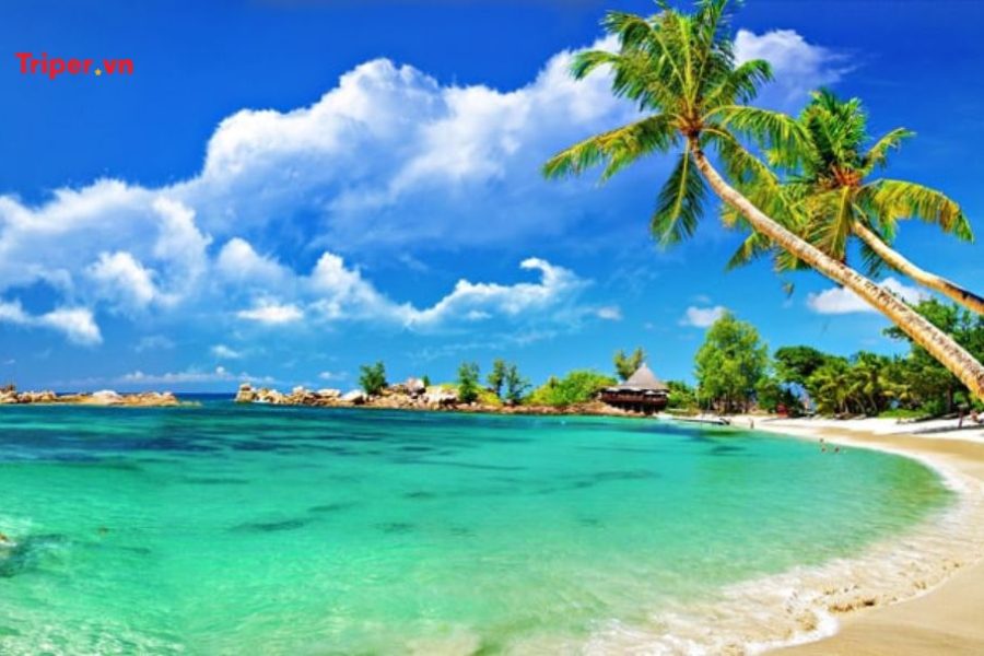 Tour phú quốc 2N1D (6)