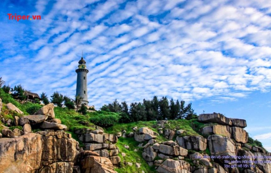TOUR DU LỊCH PHÚ YÊN – BÌNH ĐỊNH (Quy Nhơn) – GIA LAI 5 NGÀY 4 ĐÊM