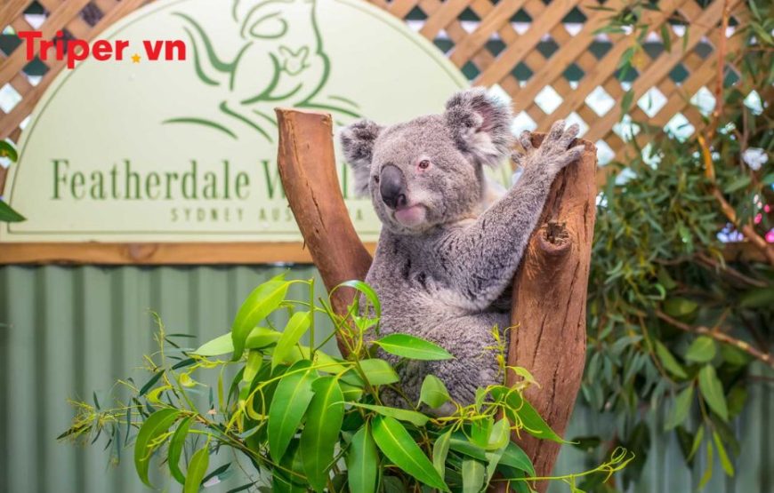 ÚC (Melbourne – Canberra – Sydney) – Chiêm Ngưỡng Lễ Hội Hoa Floriade